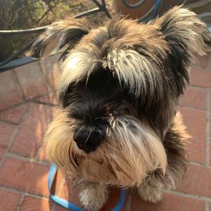 Meet your Posher, Celeste